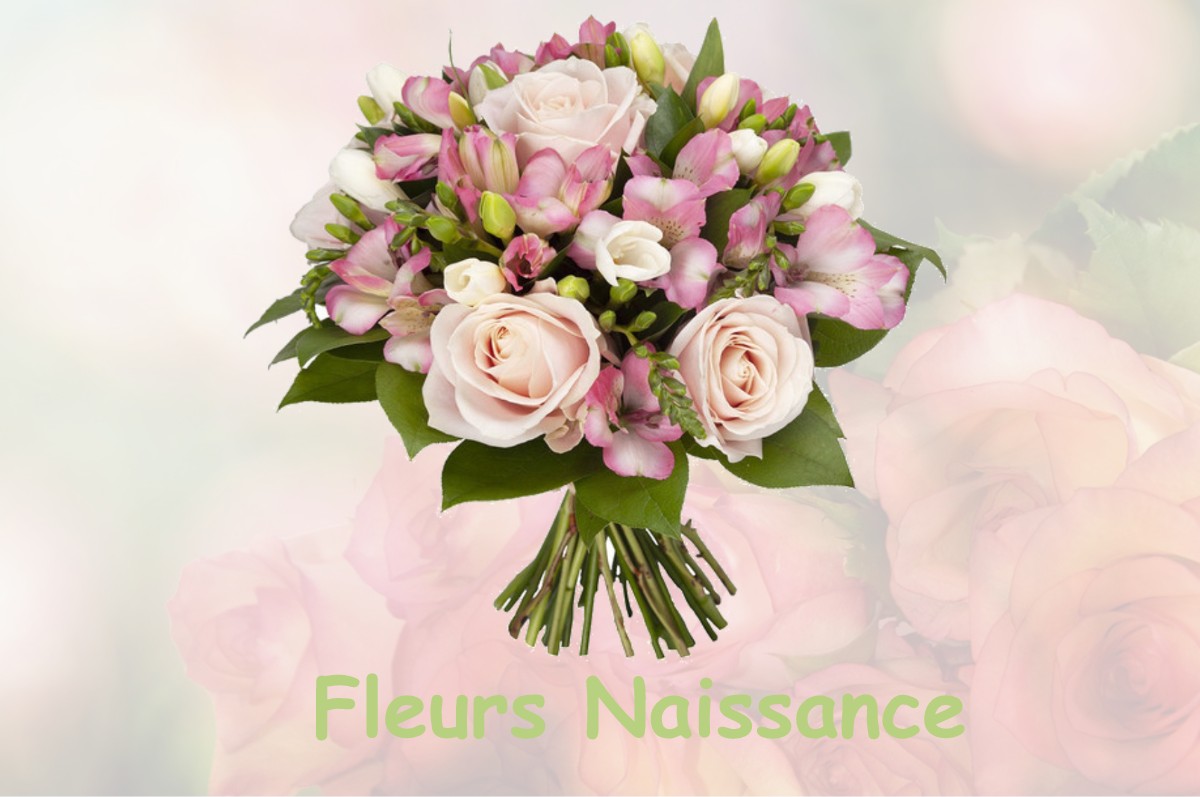 fleurs naissance BANNONCOURT