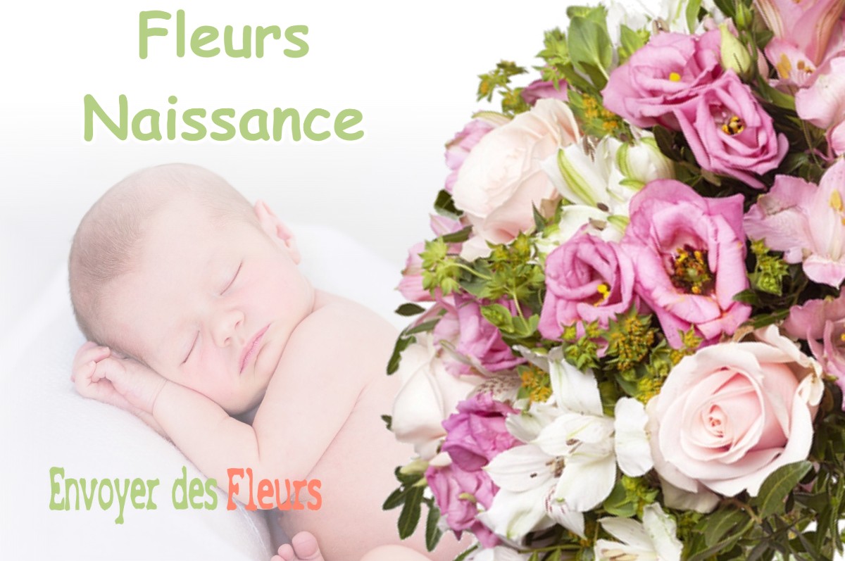 lIVRAISON FLEURS NAISSANCE à BANNONCOURT